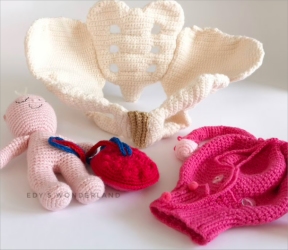 Crocheted white pelvis, pink skinned baby doll with attached umbilical cord and placenta, and a pink uterus.